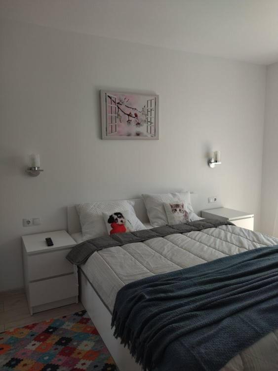 Belcara Apartment Buşteni Exterior foto